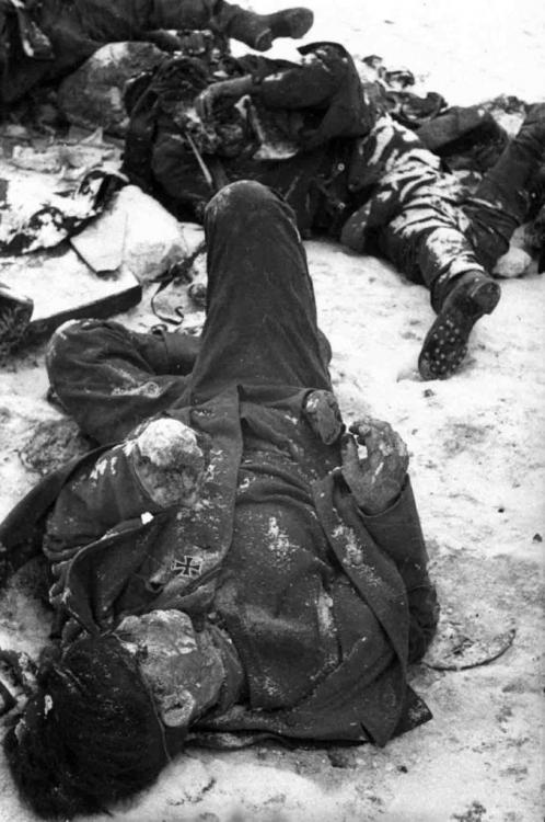 frozen-bodies-of-germans-Stalingrad-679x1024.jpg